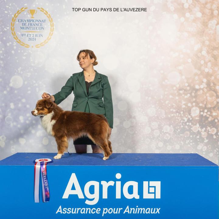 Dog breeding Saint-Bonnet-l'Enfantier
