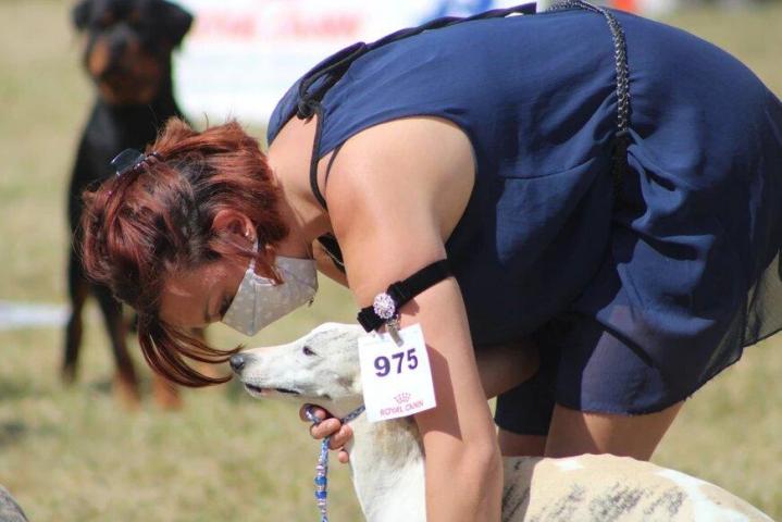 Whippet Breeding in Saint-Bonnet-l'Enfantier