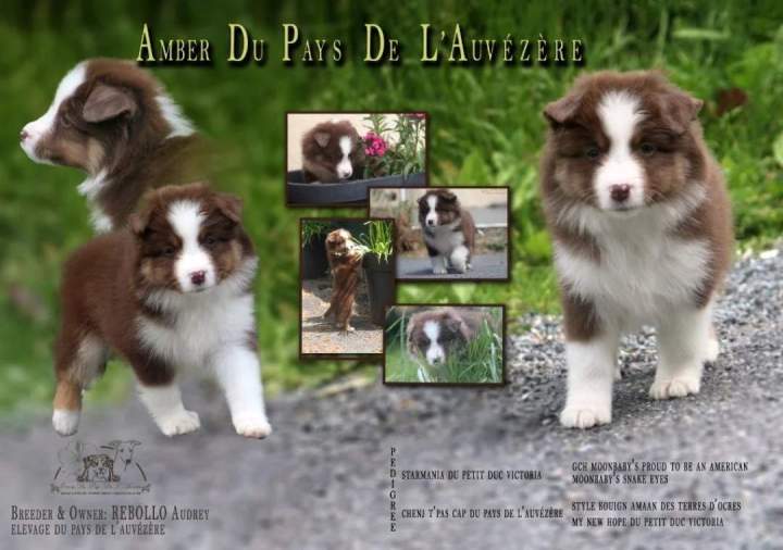 Screenshot 20250513 203236 Gallery