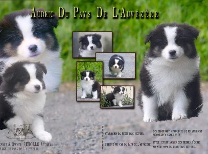 Screenshot 20250514 144615 Gallery